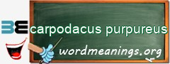 WordMeaning blackboard for carpodacus purpureus